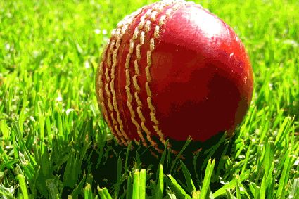 Profitable cricket predictions